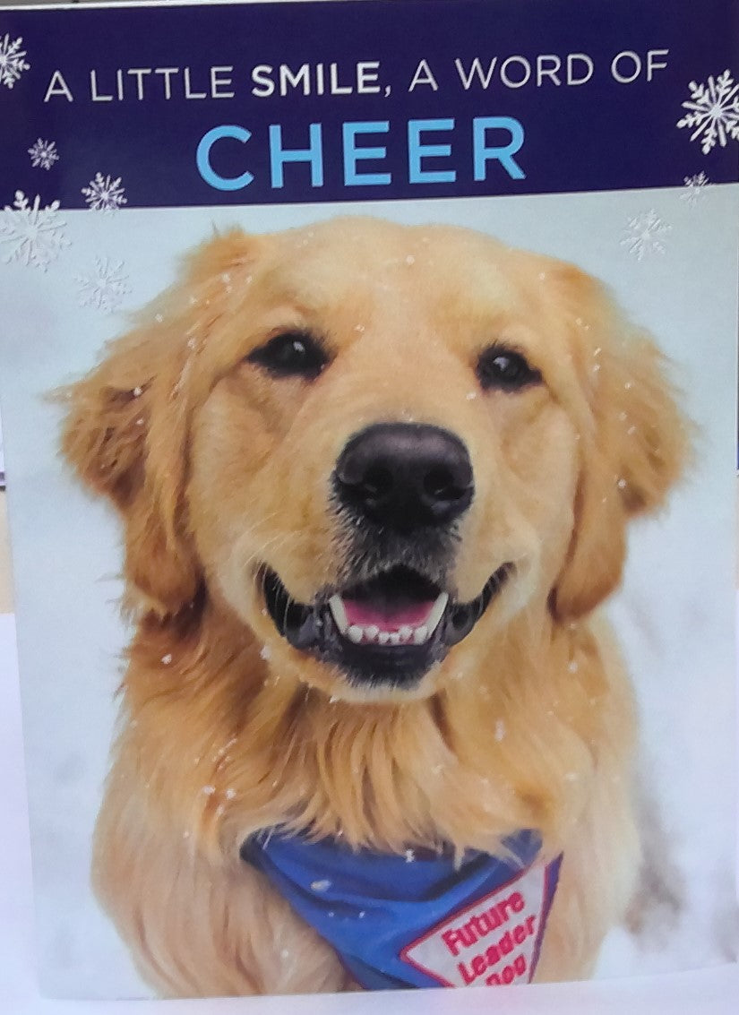 Holiday Cards 20pk - Golden Retriever