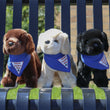 Load image into Gallery viewer, Plush Puppy - Labrador Retriever
