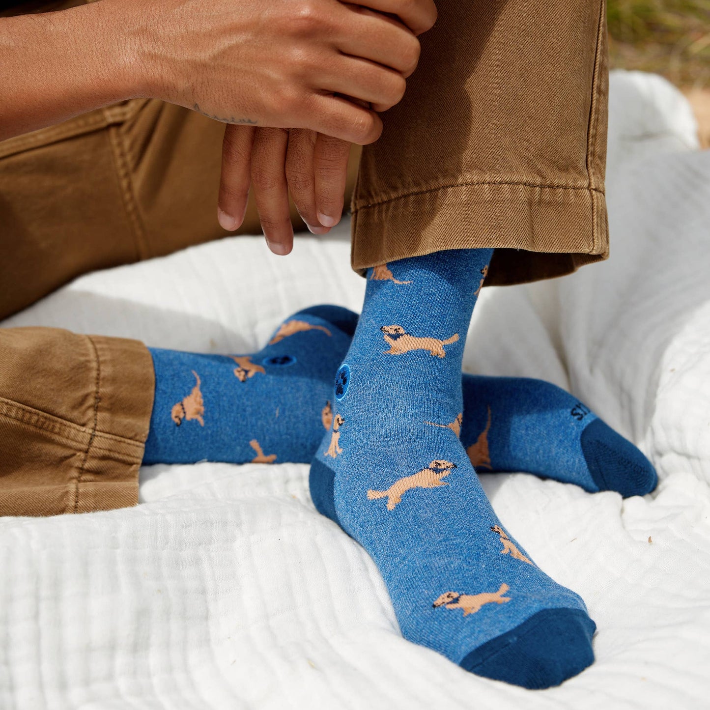 Socks that Save Dogs | Golden Retrievers