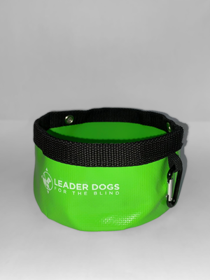 Foldable Travel Bowl