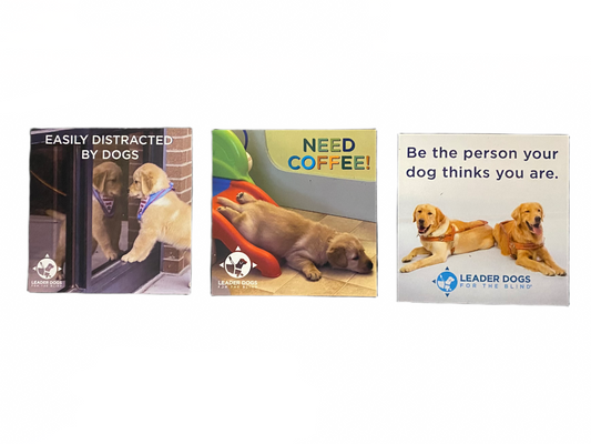 Mix n' Match Magnets