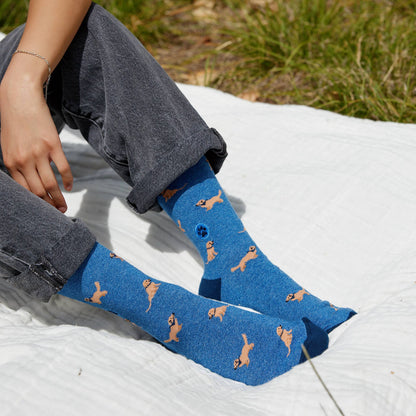 Socks that Save Dogs | Golden Retrievers