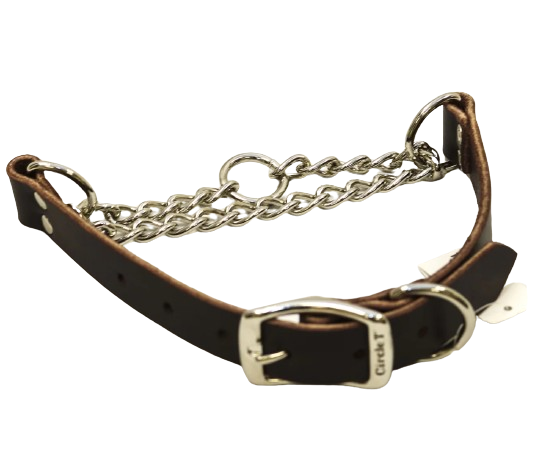 Leather martingale dog collar hot sale