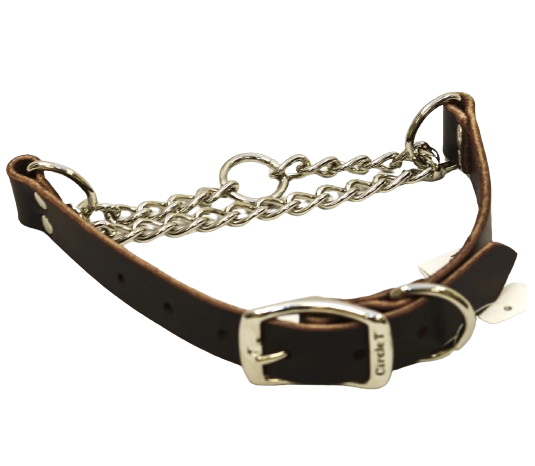 Leather Martingale Collar