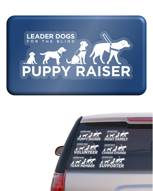 Car Decal Sticker - LDB Evolution